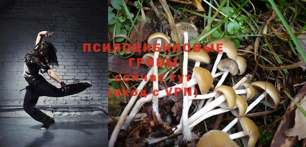бошки Волоколамск
