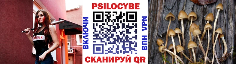 Псилоцибиновые грибы Psilocybe  Салават 